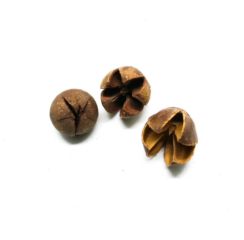 Bell Pods