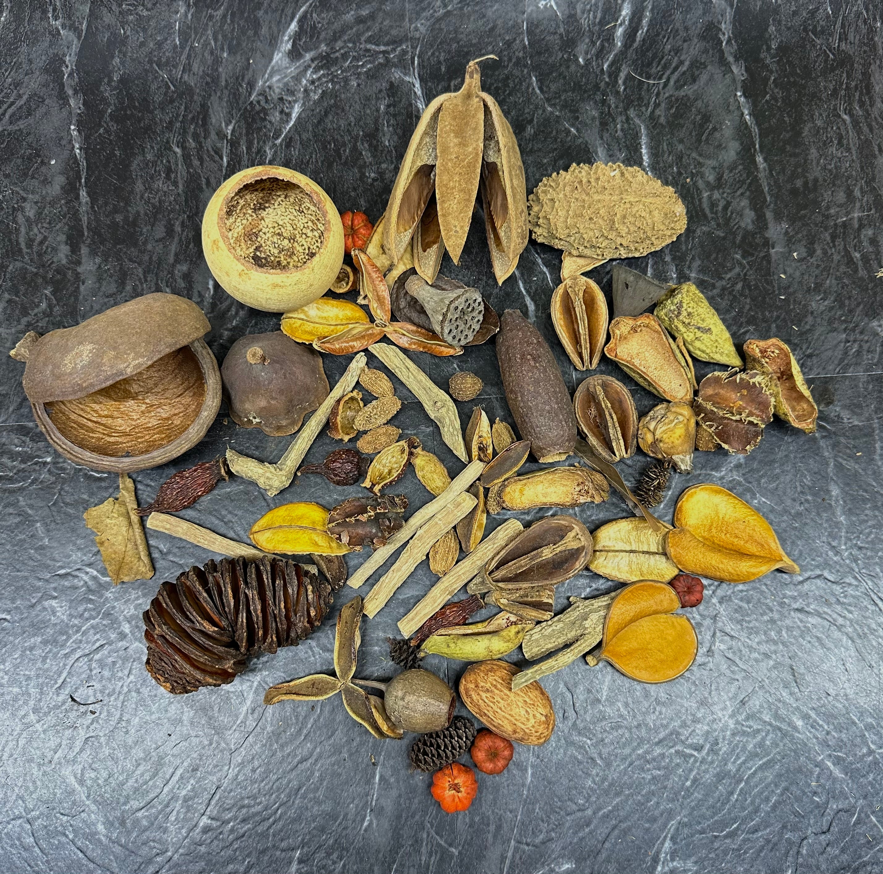 *Botanical Bounty Bag* - Image 10