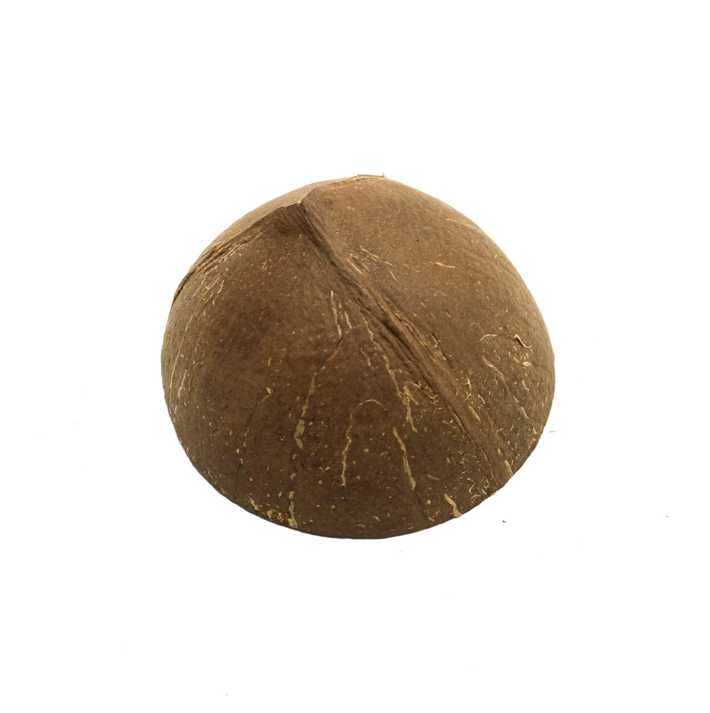 Coconut Half Shell - Image 2