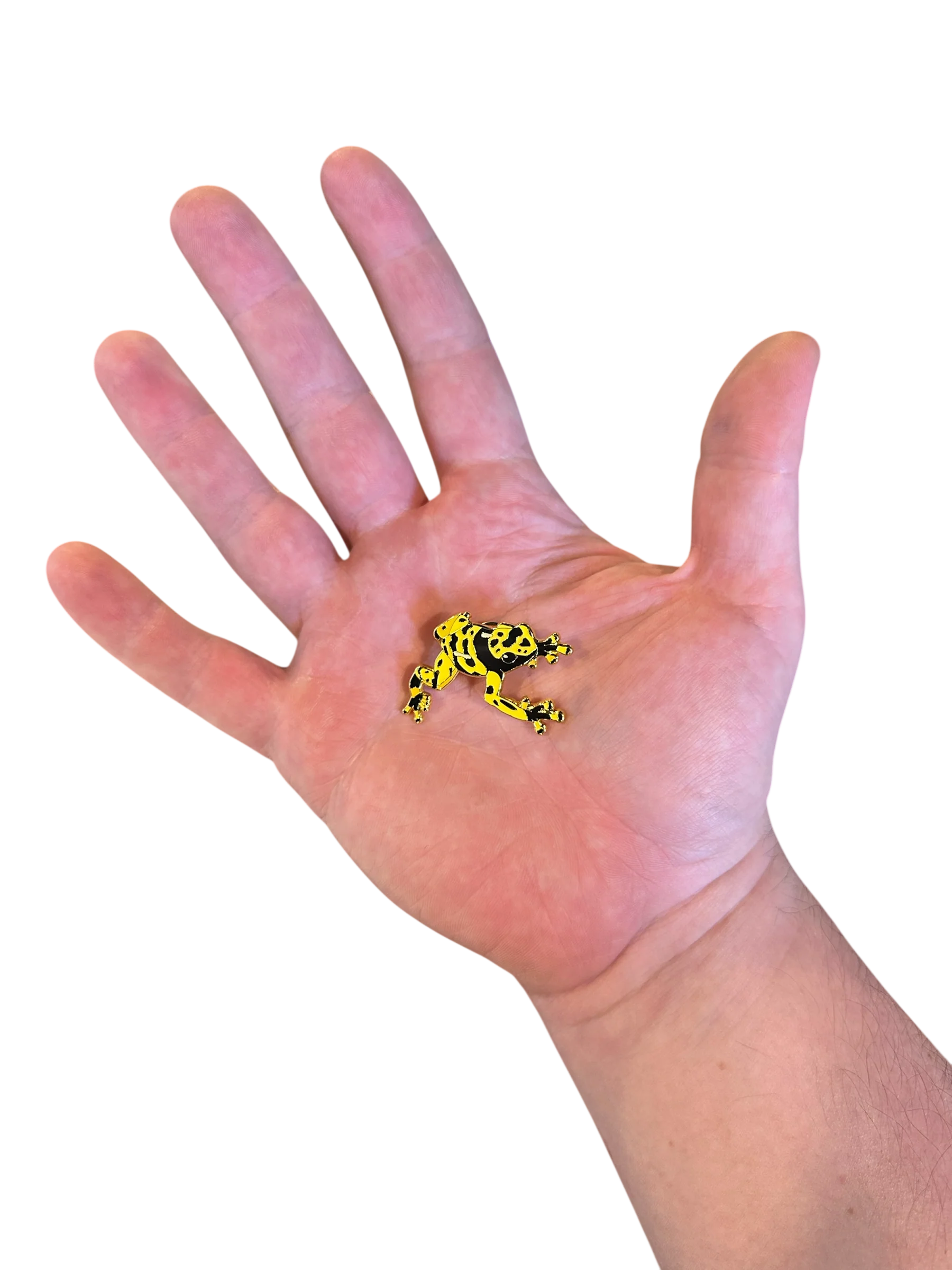 Enamel Pin - BumbleBee Poison Frog - Image 2