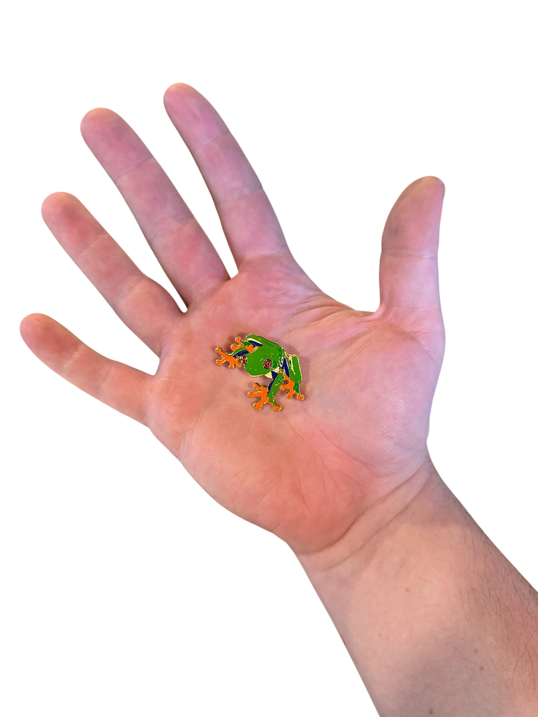 Enamel Pin - Red Eyed Tree Frog - Image 2