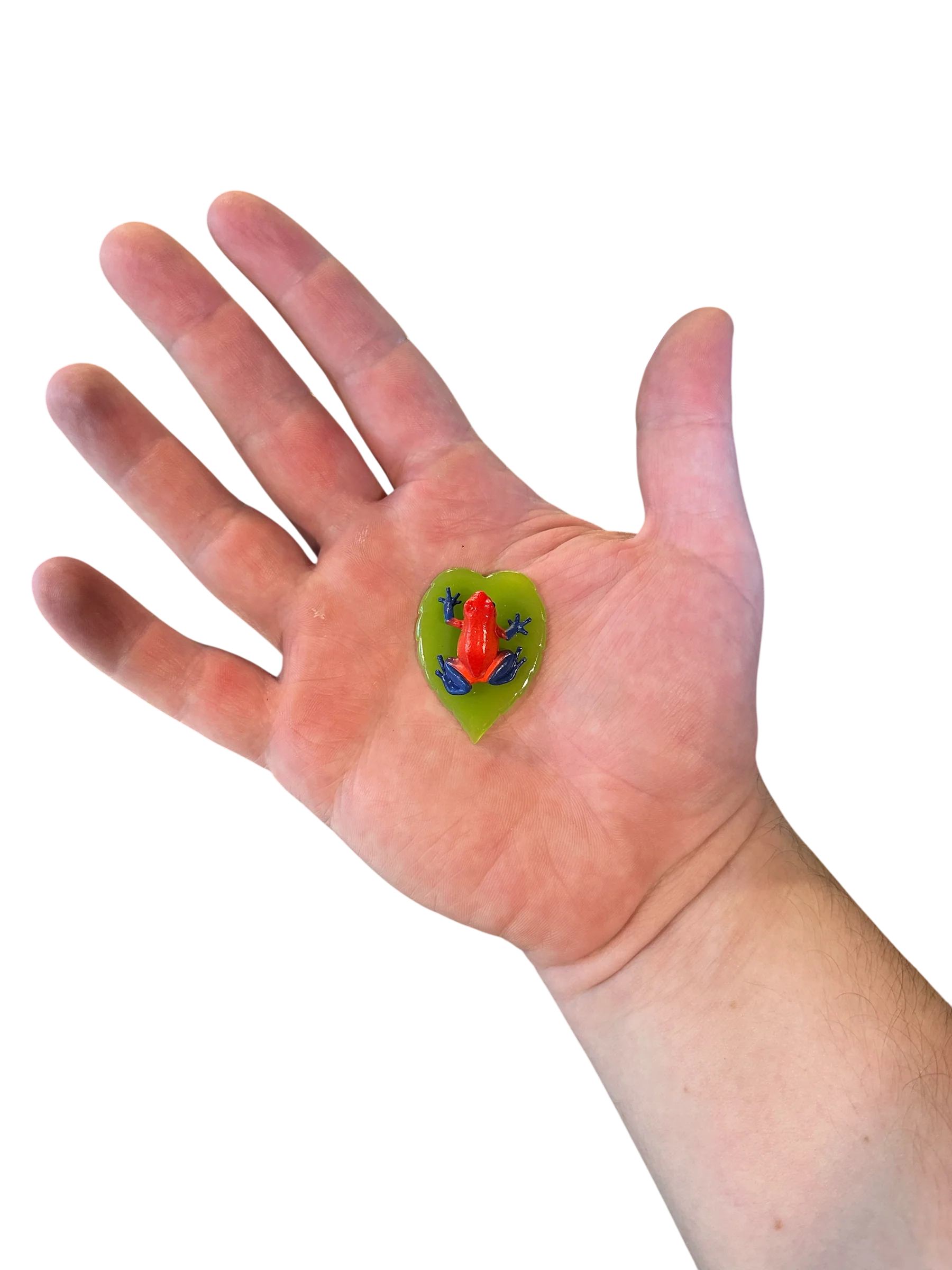 Frog-on-Leaf Figurine - Oophaga pumilio “Strawberry Blue Jeans” - Image 2