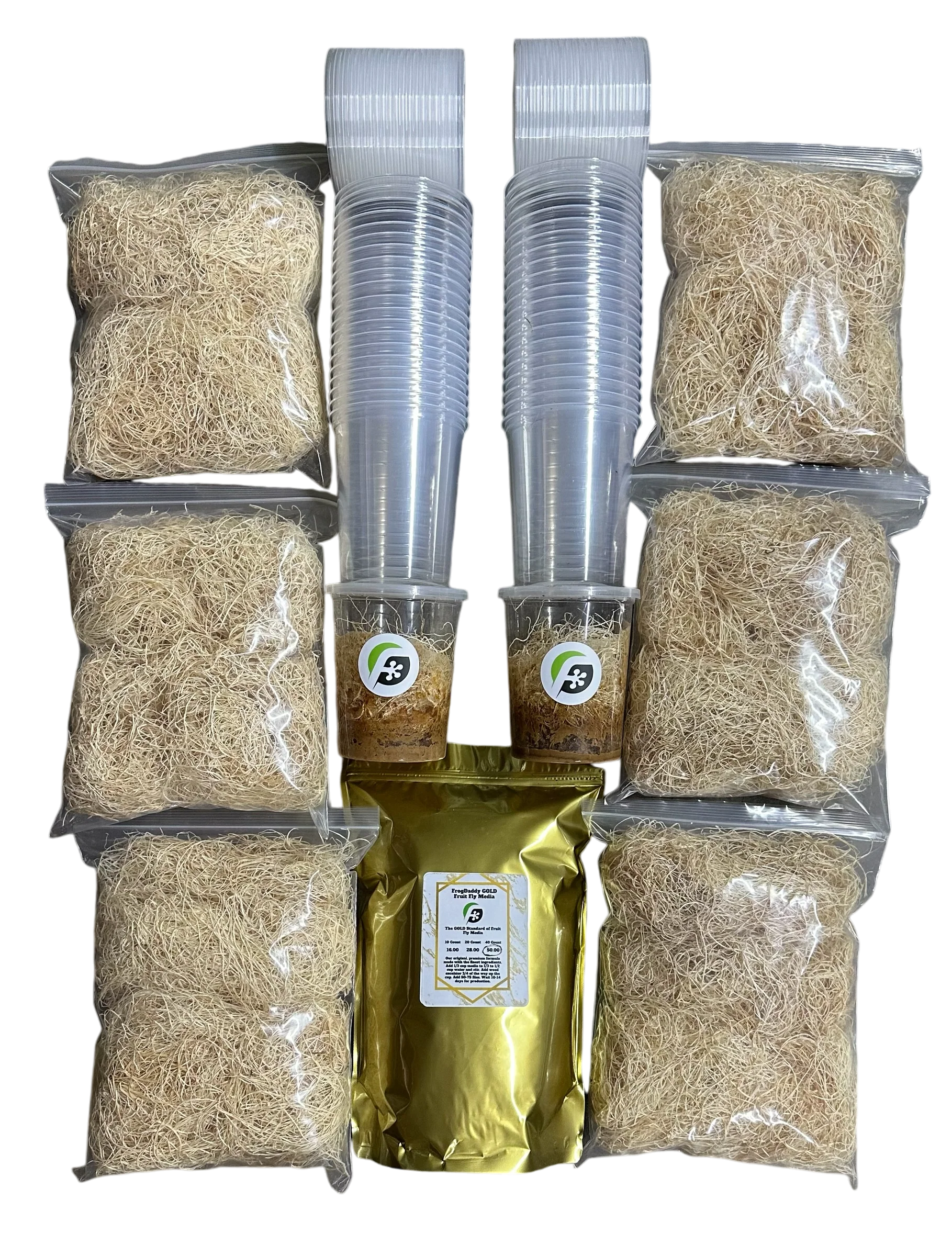 FrogDaddy Complete GOLD Fruit Fly Culturing Kit - Image 6