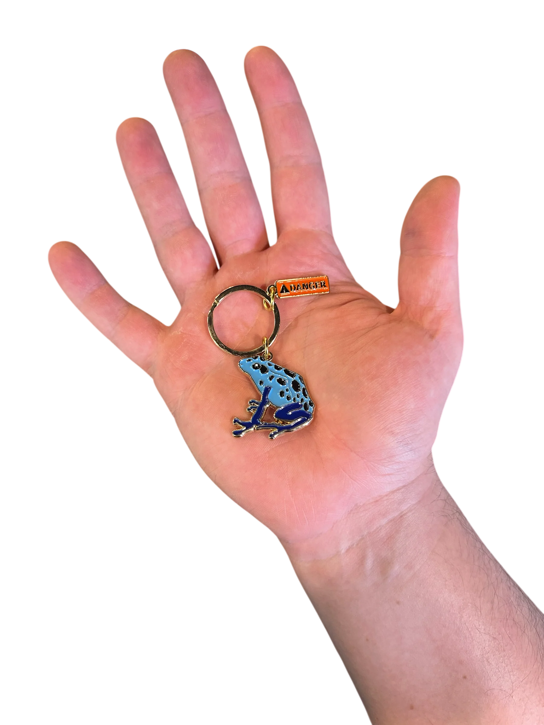 Key Chain - Blue Poison Frog - Image 2