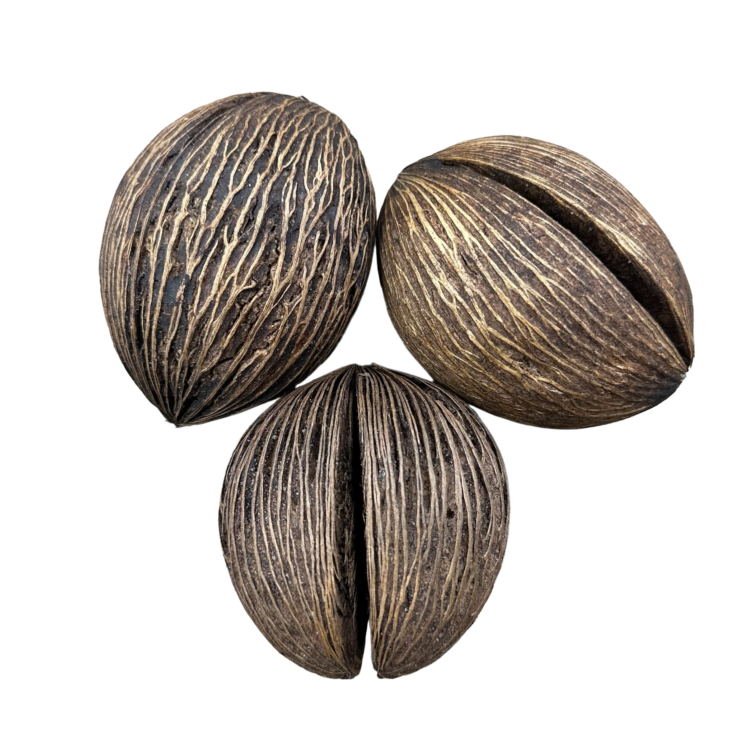Mystic Pod - Large