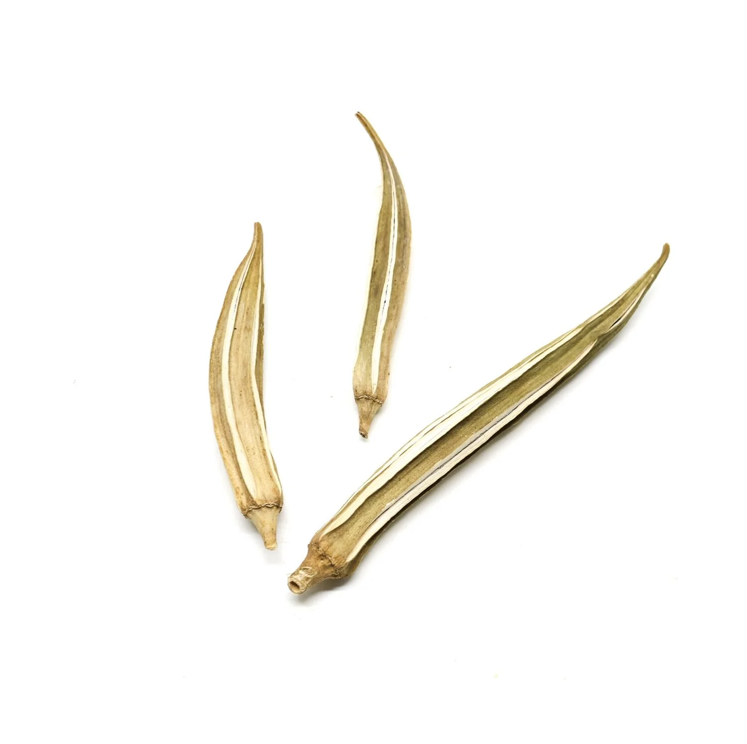 Okra Pod