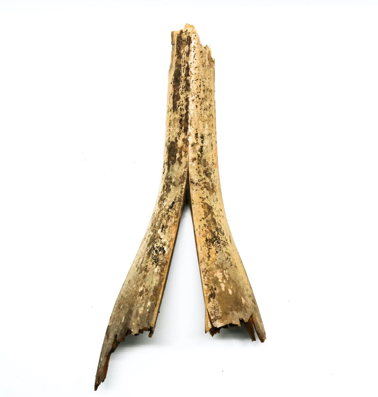 Palm Bark Boots