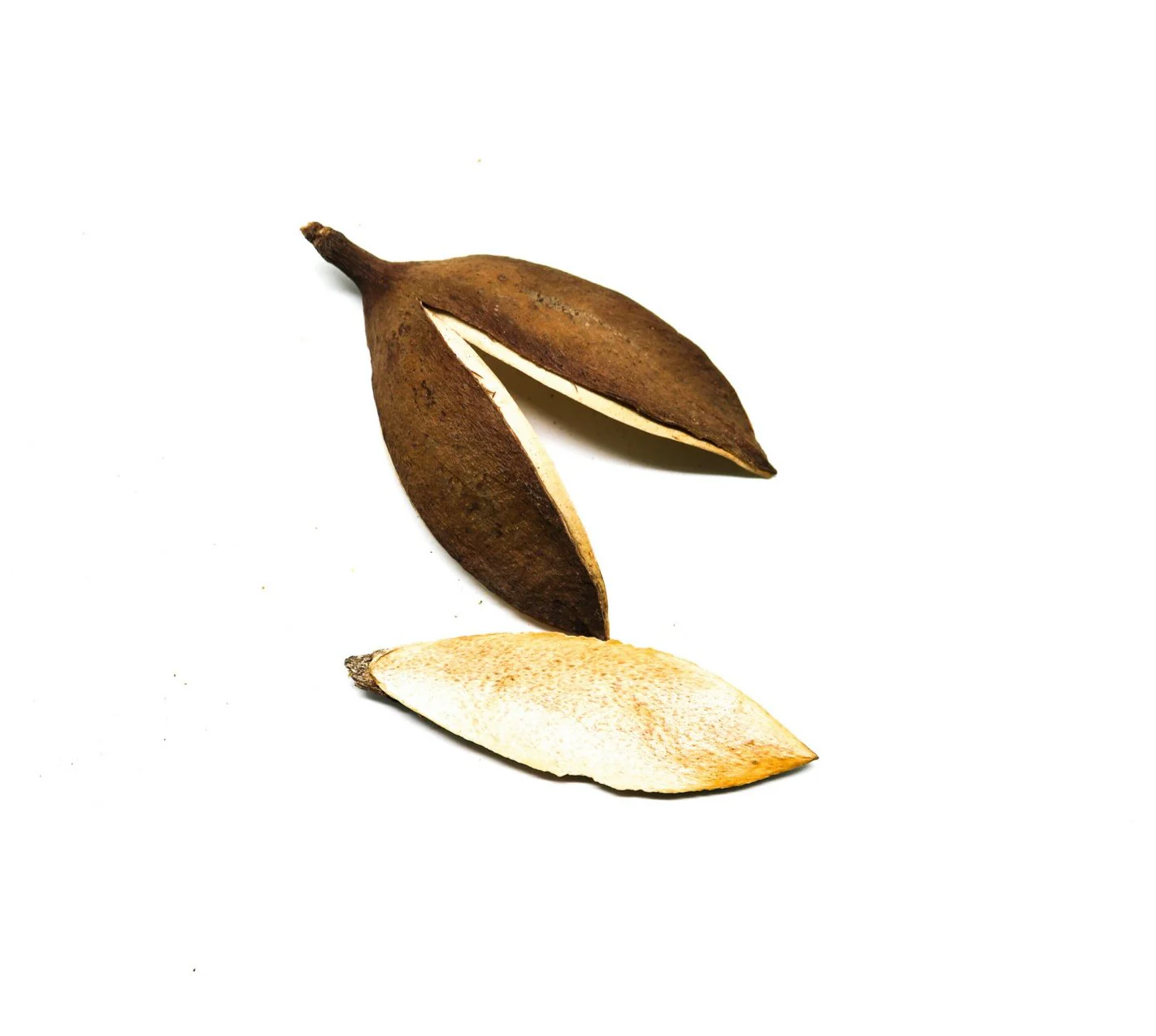 Petal Pods