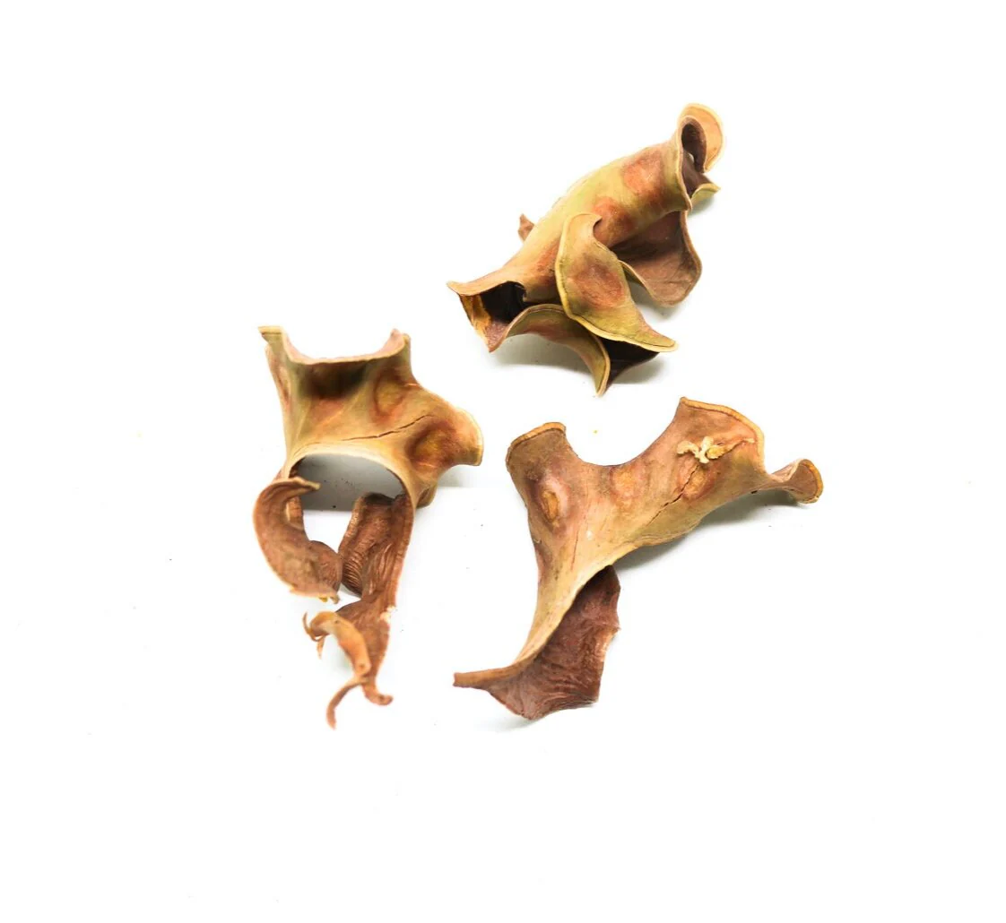 Ripple Pods