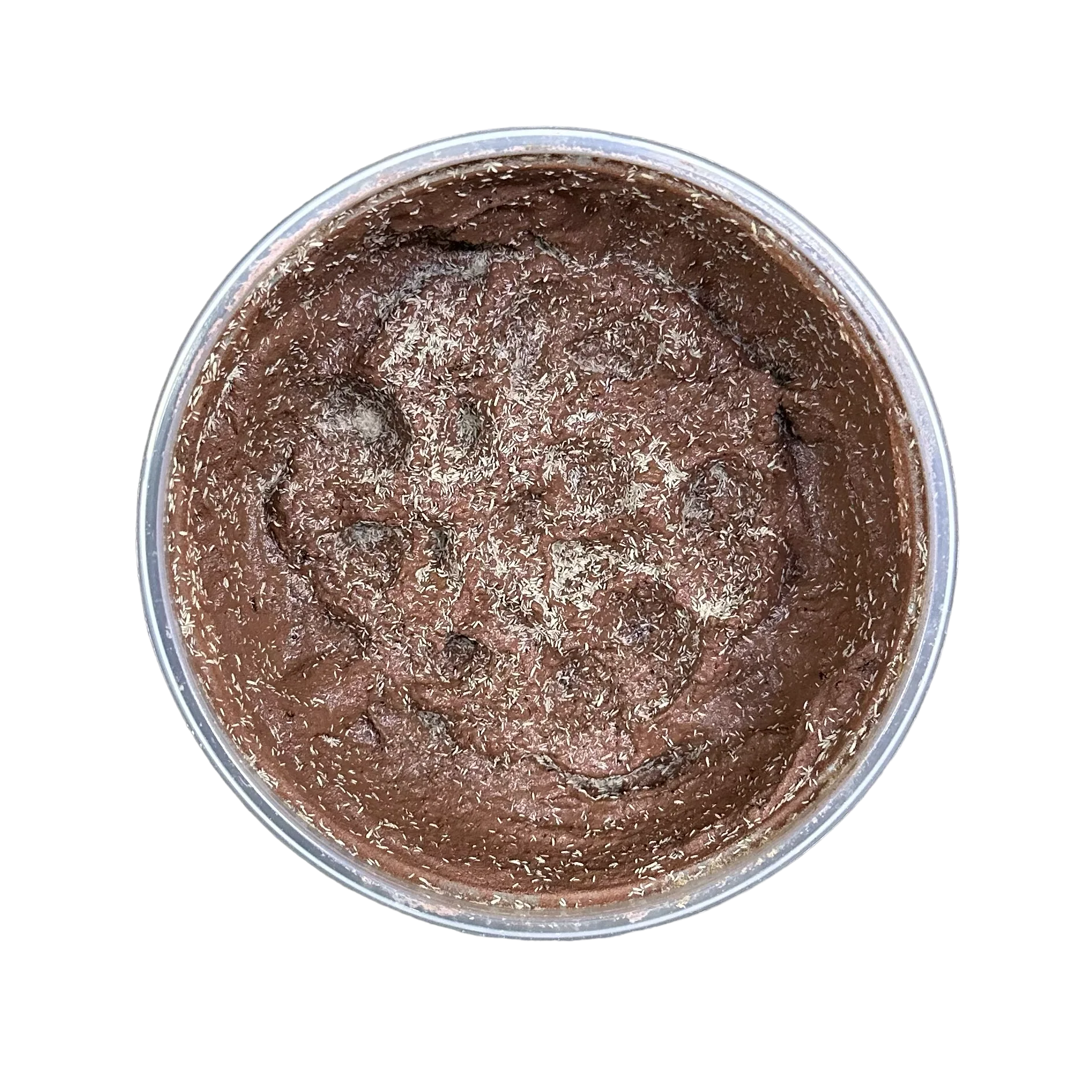 Springtails - Temperate - DEEP DISH CALCIUM CLAY - (Folsomia candida) - Image 2