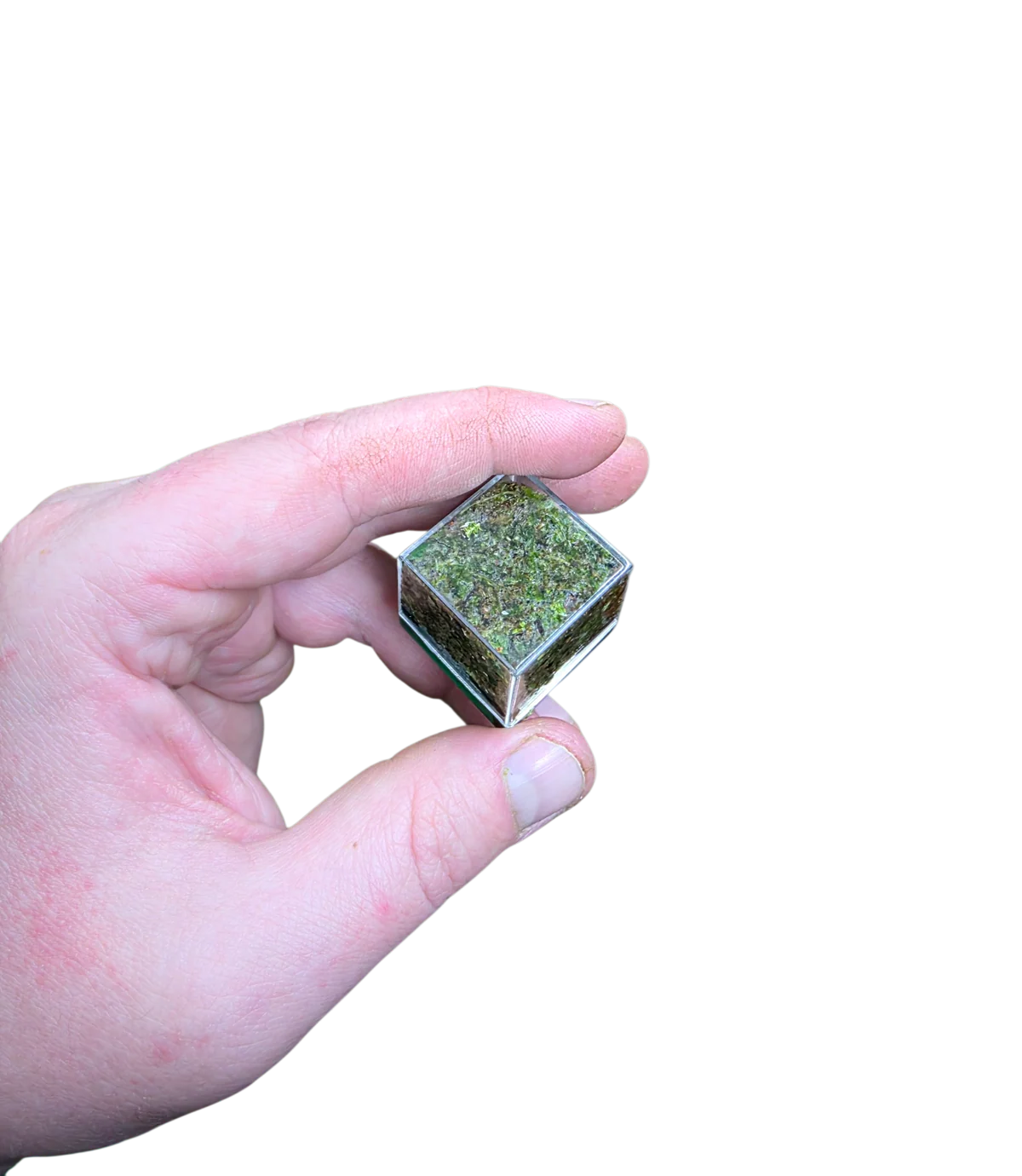 WHOLESALE - BryoBrick Premium Compressed Moss Mix - Image 3